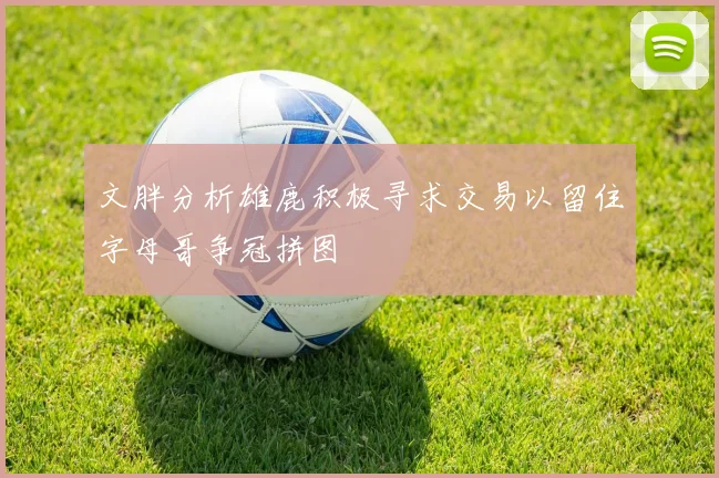 文胖分析雄鹿积极寻求交易以留住字母哥争冠拼图