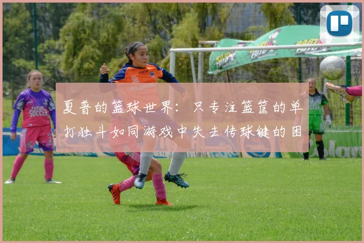 夏普的篮球世界：只专注篮筐的单打独斗如同游戏中失去传球键的困境