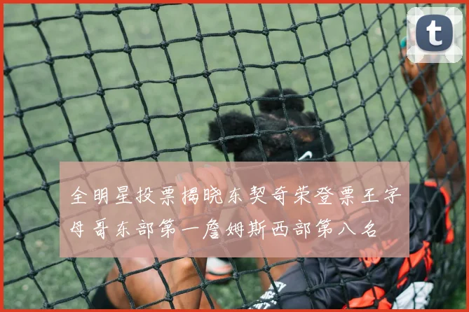 全明星投票揭晓东契奇荣登票王字母哥东部第一詹姆斯西部第八名