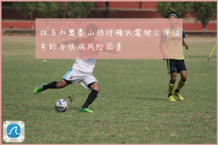 祖马加盟泰山仍待确认需综合评估年龄与伤病风险因素